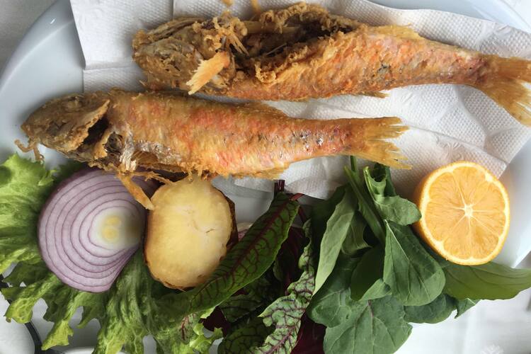 forsa balik restaurant kocamustafapasa istanbul zomato